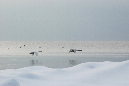 Sea water nature outdoor Photo