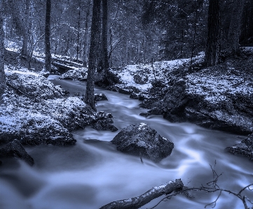 Landscape tree water nature Photo