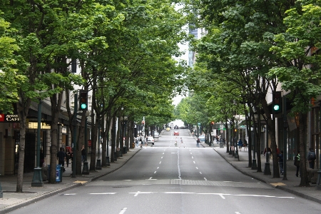 Pedestrian road street sidewalk Photo