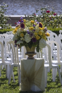 Foto Plantar flor floral celebração