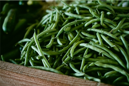 植物 フルーツ 弦 豆 写真