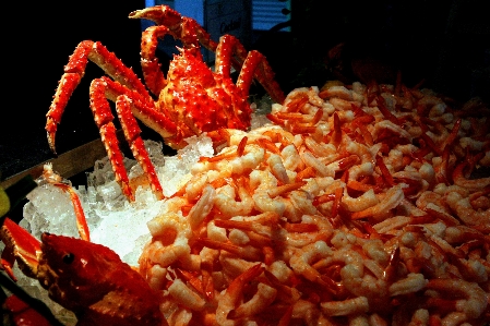 レストラン 皿 食べ物 シーフード 写真