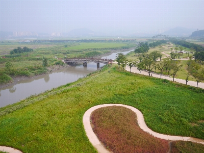 風景 自然 沼地
 概要 写真