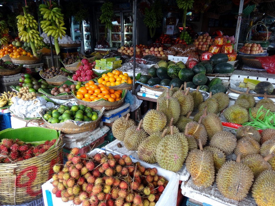 植物 水果 城市 食物