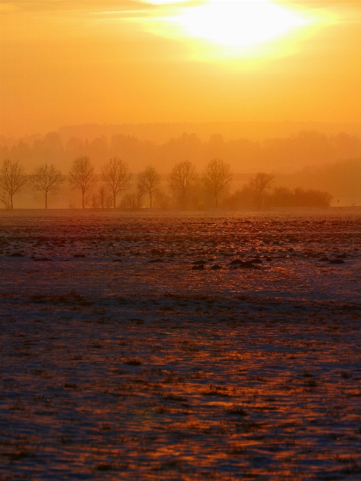 Paysage mer nature horizon