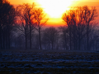 Landscape nature snow cold Photo