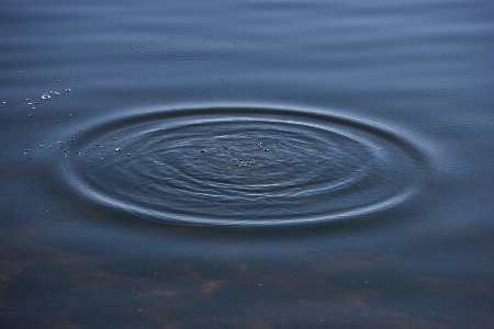 Sea water nature drop Photo