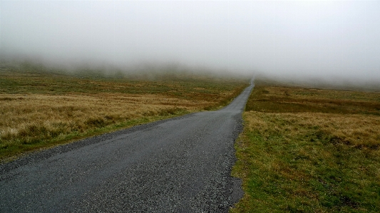 Landscape nature grass horizon Photo