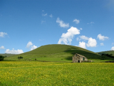 Landscape grass horizon mountain Photo