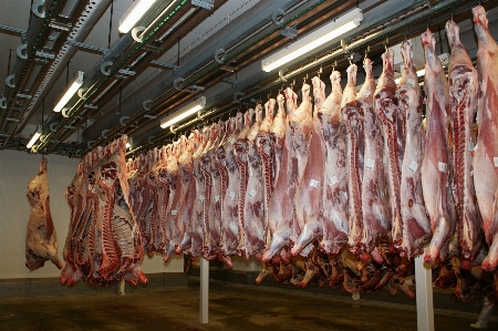 食べ物 肉 牛肉 小売り 写真