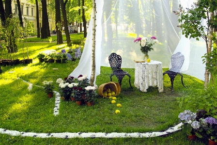 Foto Prato fiore giardino dietro la casa
