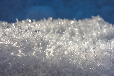 水 自然 ブランチ 雪 写真