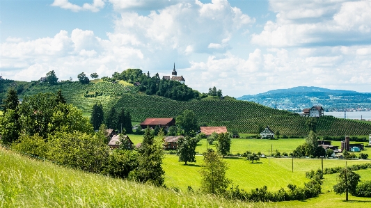 Landscape nature mountain wine Photo