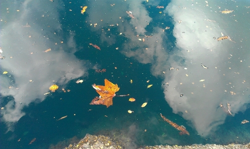 Sea water nature drop Photo