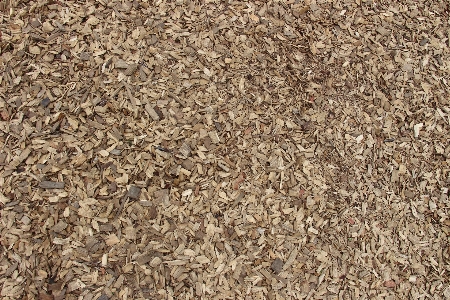 Nature sand abstract structure Photo