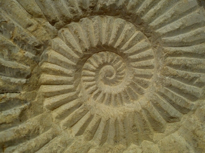 Foto Espiral pedra padrão geometria