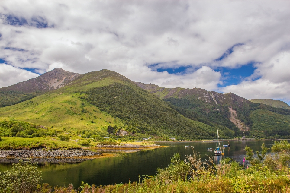 Landscape water nature wilderness