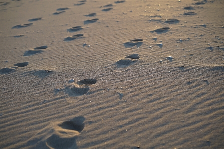 Foto Pantai laut pasir salju