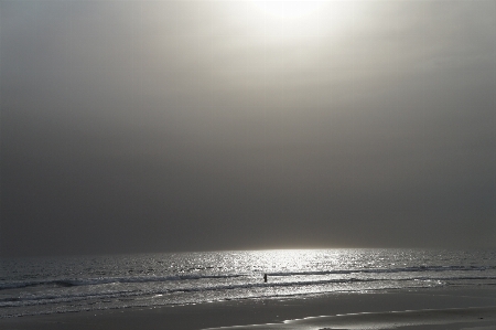 Beach sea coast ocean Photo