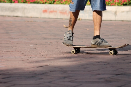 Outdoor person people board Photo