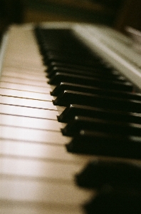 Music black and white keyboard technology Photo