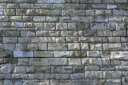 Rock texture floor cobblestone Photo