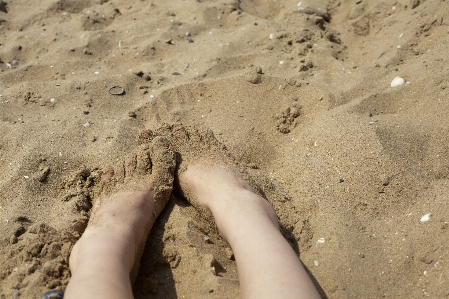 Hand beach sea sand Photo