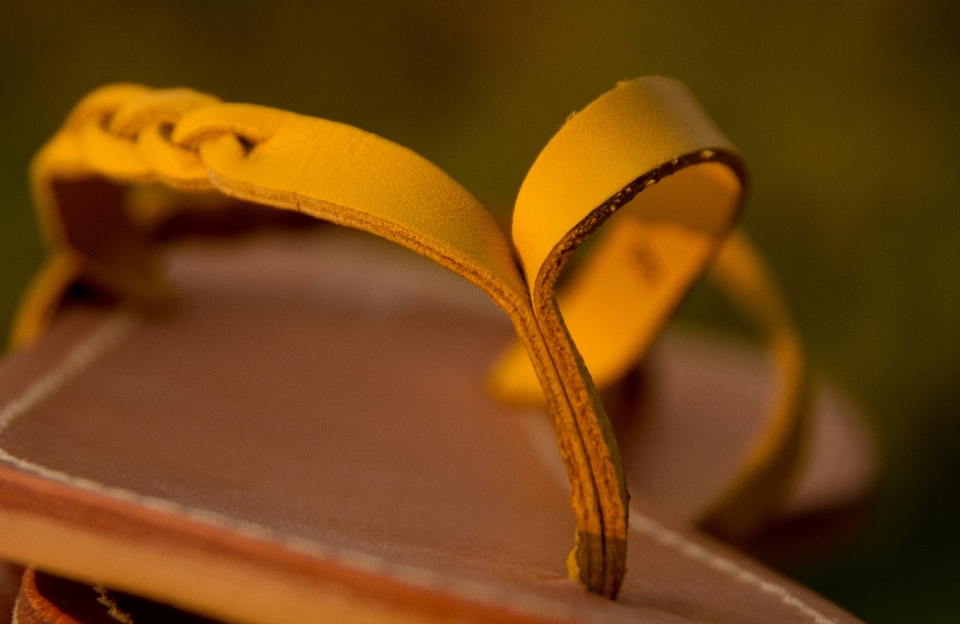 Cuir la photographie feuille fleur