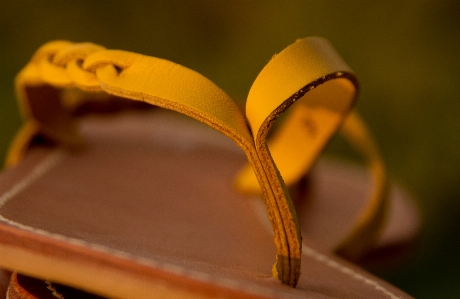 Leather photography leaf flower Photo