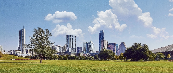 木 草 地平線 空 写真