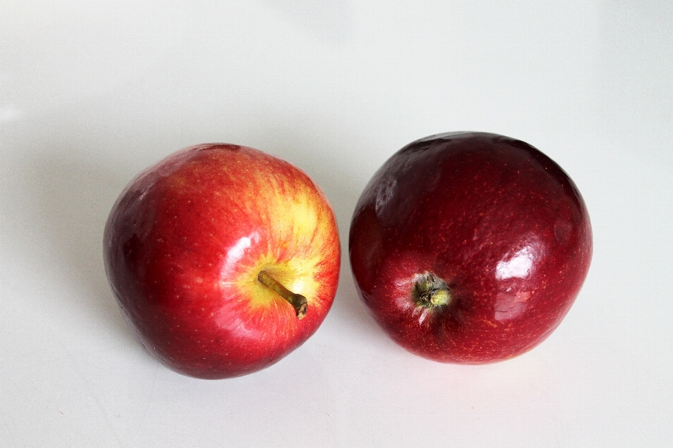 Apple anlage frucht essen