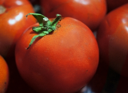 Foto Alam tanaman buah matang
