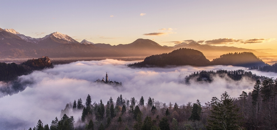 Landscape nature forest wilderness