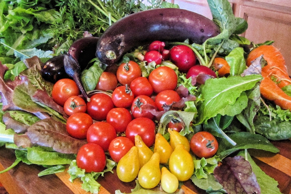 Frucht blatt mahlzeit essen