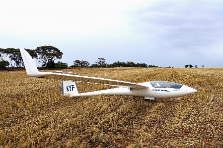 Wing white field adventure Photo