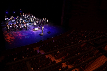 Music concert audience darkness Photo