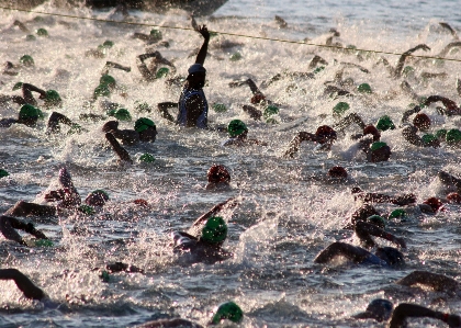 海 鳥 スポーツ 野生動物 写真