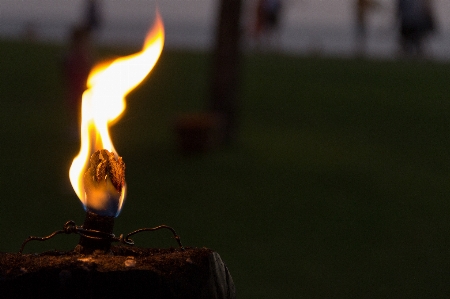 Light night evening reflection Photo