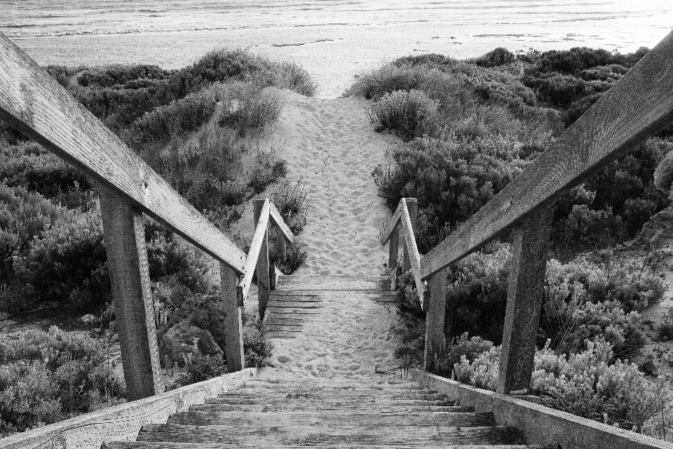 Praia caminho areia preto e branco
