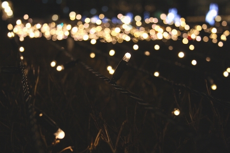 Light bokeh blur night Photo