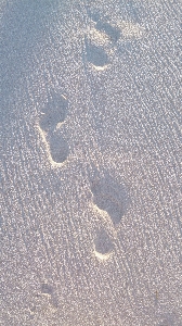 Beach sand snow wave Photo