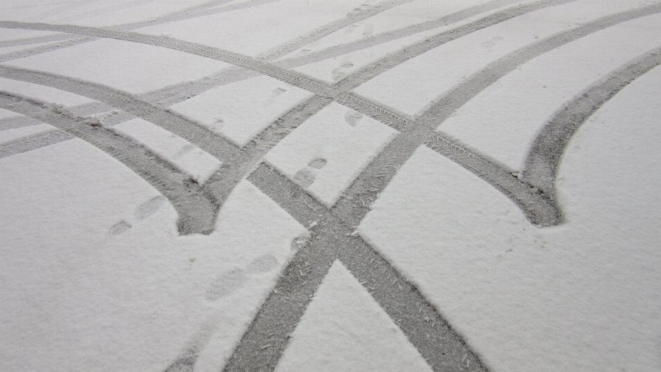 雪 冬 木 白