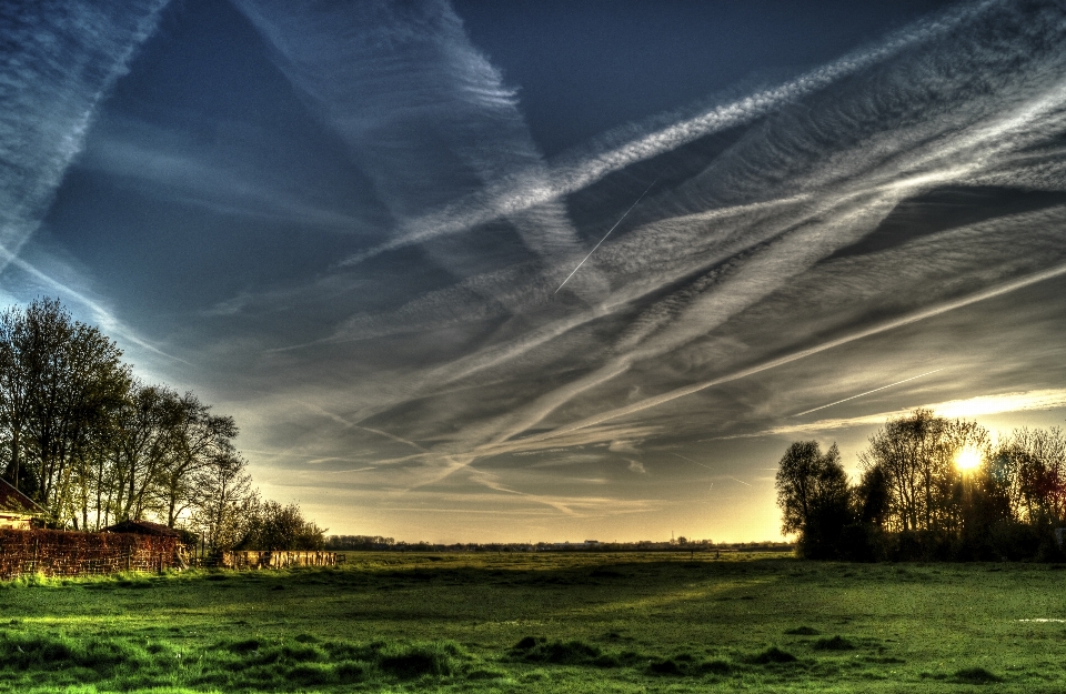 Paysage nature horizon lumière