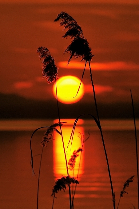 Landschaft wasser natur silhouette