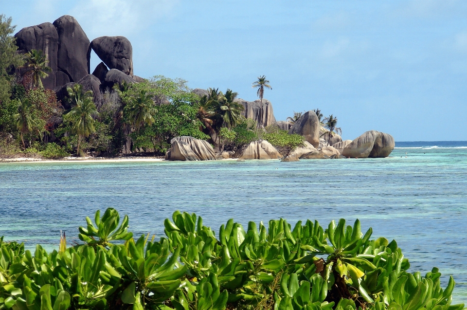 Praia paisagem mar costa