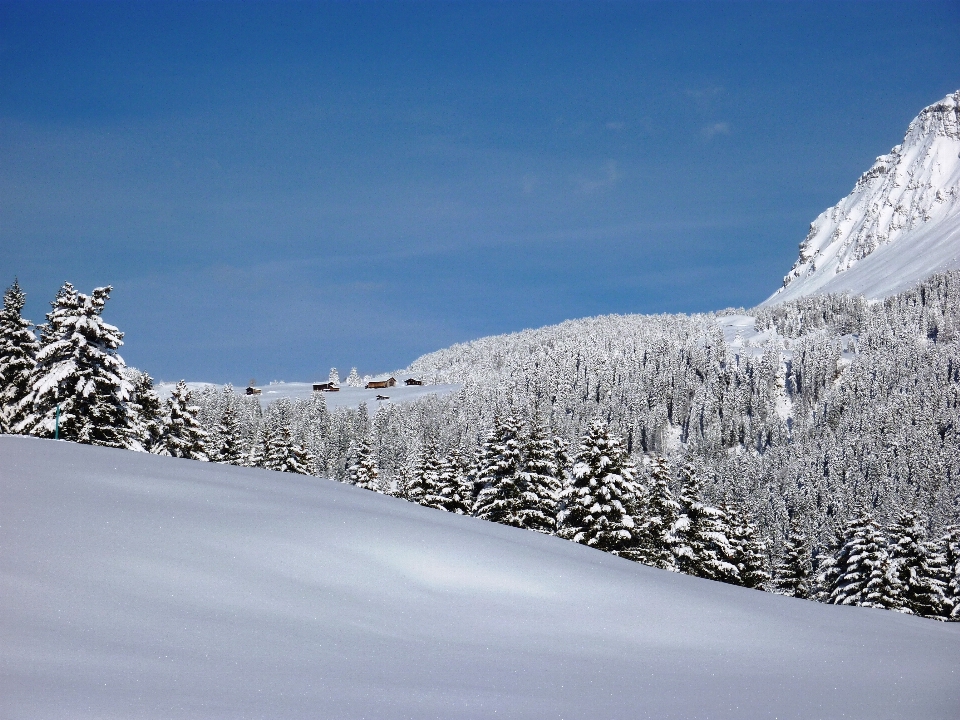 風景 自然 山 雪