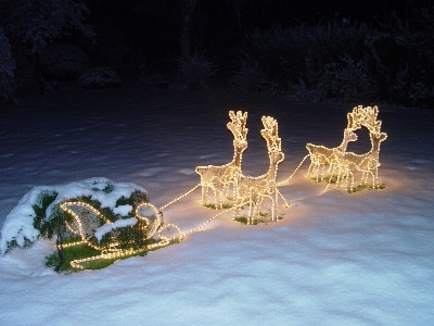 雪 冬 ライト 夜 写真