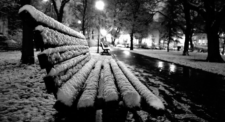 Arbre neige hiver noir et blanc
