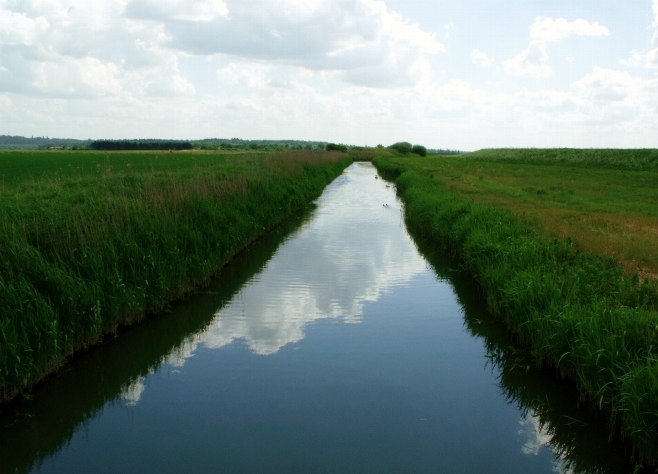 Paisaje agua naturaleza césped