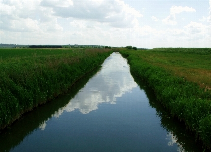 Landscape water nature grass Photo